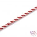 Πλεκτό κορδόνι 3mm, κόκκινο-λευκό,  5 μέτρα Πλεκτά-Στριφτά