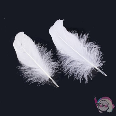 Φτερά χήνας, λευκά, 140~175mm, 40τμχ Fashion items