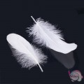 Φτερά χήνας, λευκά, 140~175mm, 40τμχ Fashion items