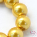 Γυάλινες πέρλες, ανοιχτό χρυσό, 3mm, ~195τμχ Γυάλινες Πέρλες
